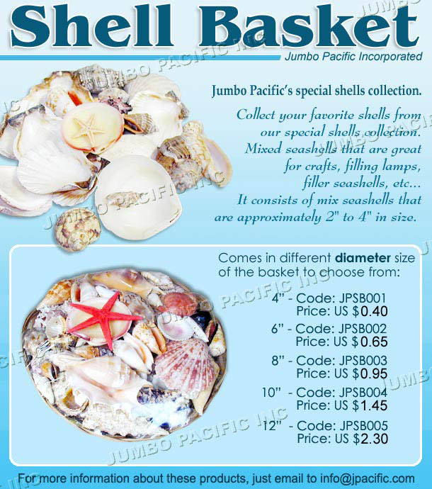 Basket of Shells, Seashells