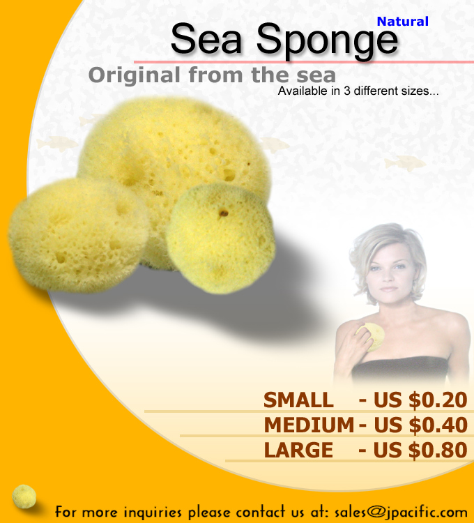  Sea Sponge