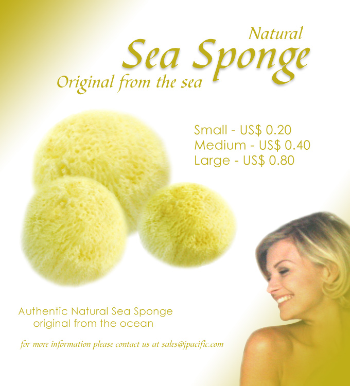  Sea Sponge