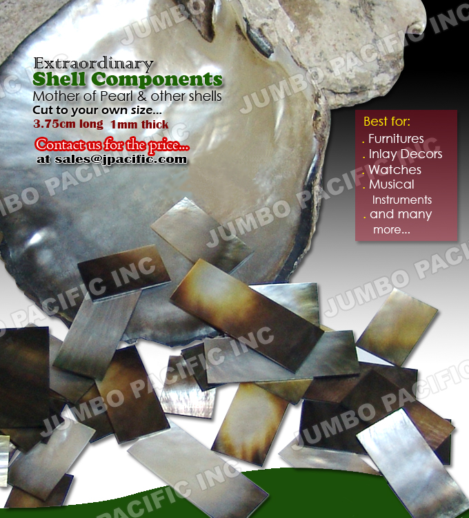  Shell Components
