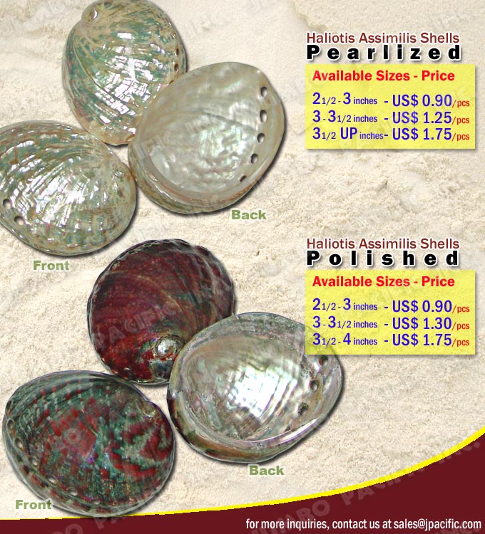 Haliotis Assimilis Shells Pearlized and Polished Supplier For Export Haliotis Assimilis Shells Pearlized and Polished Supplier For Export
